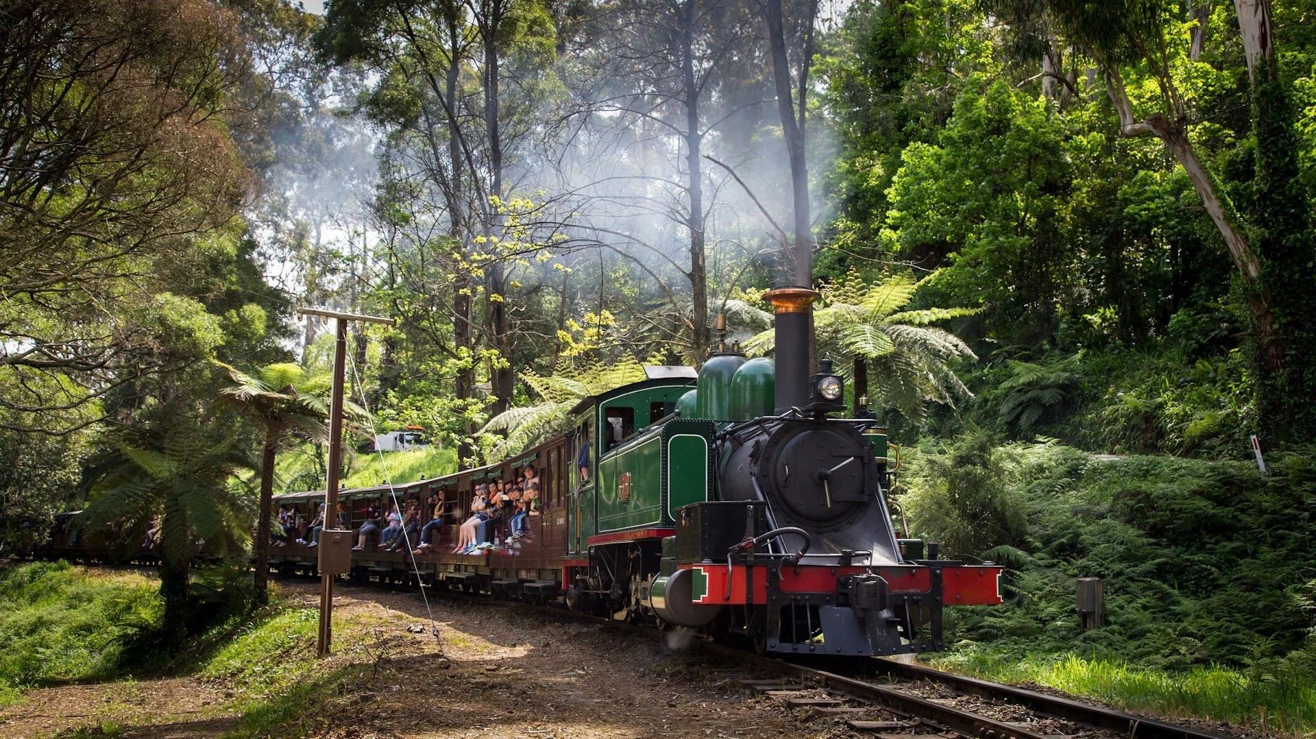 Puffing Billy Railway + Healesville Sanctuary Day Tour with City Transfers