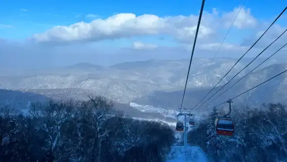 일본 홋카이도 삿포로 국제 스키 리조트 당일 치기 여행 [다양한 패키지 선택 가능]