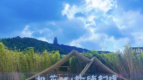 Hunan Yiyang Ancient City Wall + Taohuajiang Bamboo Sea + Ming-Qing Ancient Alley + Huilong Park Day Tour with Chinese and English Services