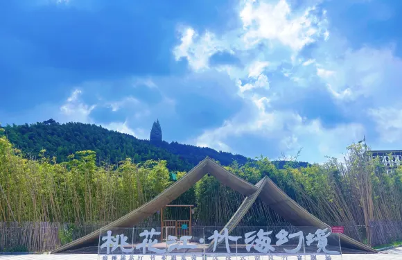 湖南益陽古城+桃花江竹海+明清古巷+會龍公園一日遊中英文服務