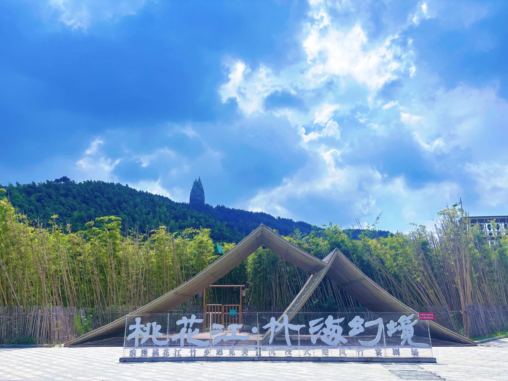 Tagesausflug zur Altstadt von Yiyang in Hunan, Bambusmeer Taohuajiang, antike Gassen aus der Ming- und Qing-Dynastie und Huilong-Park mit englischsprachigem Service