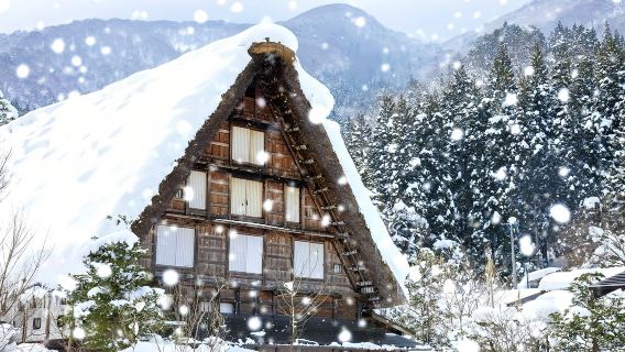Nagoya to Shirakawa-go & Hida Takayama: UNESCO Heritage 1-Day Tour