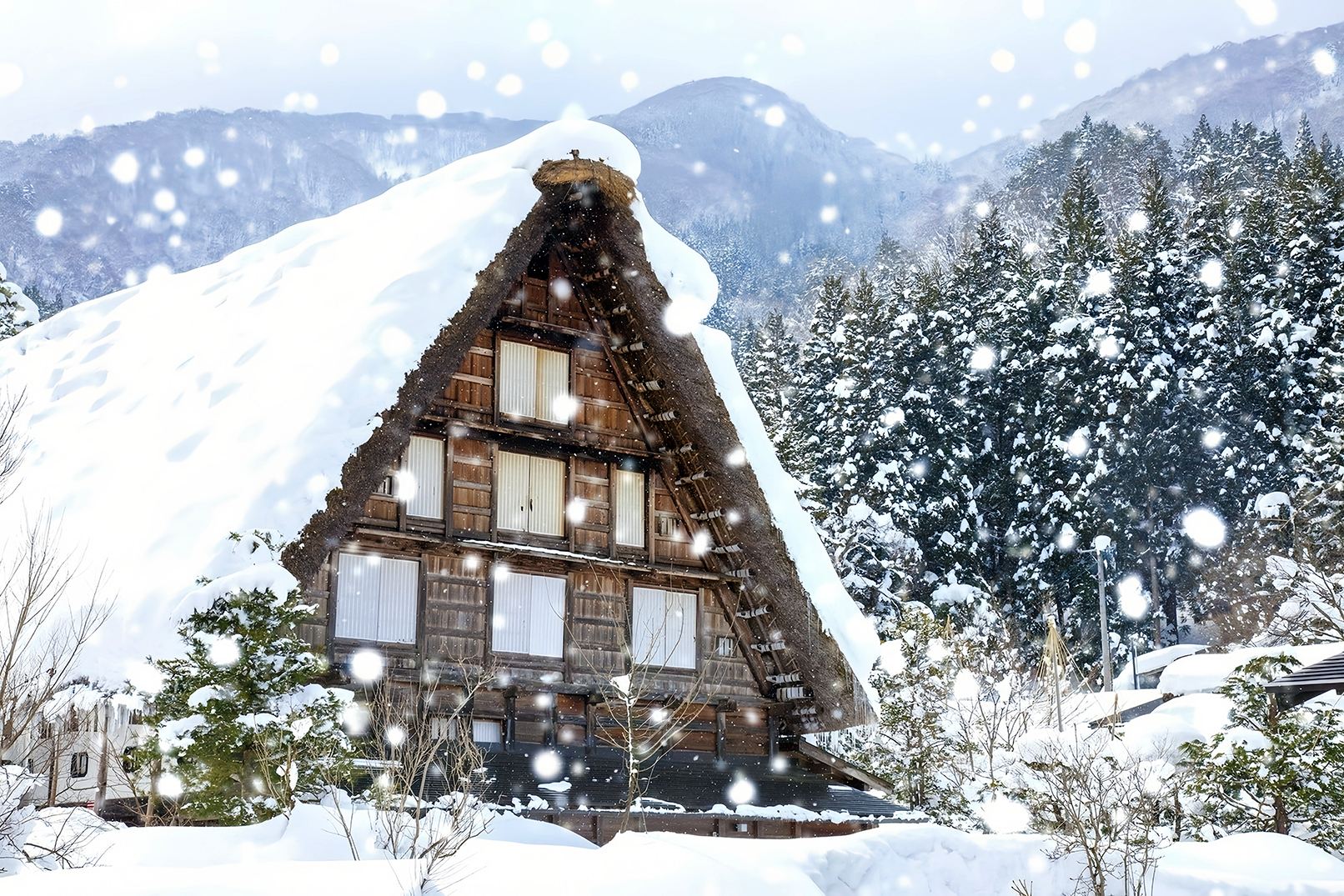 Nagoya to Shirakawa-go & Hida Takayama: UNESCO Heritage 1-Day Tour