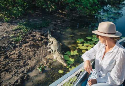 Darwin round-trip Yellow Water River crocodile cruise half-day tour [City transfers | Park/wetland options] AUD 136.8