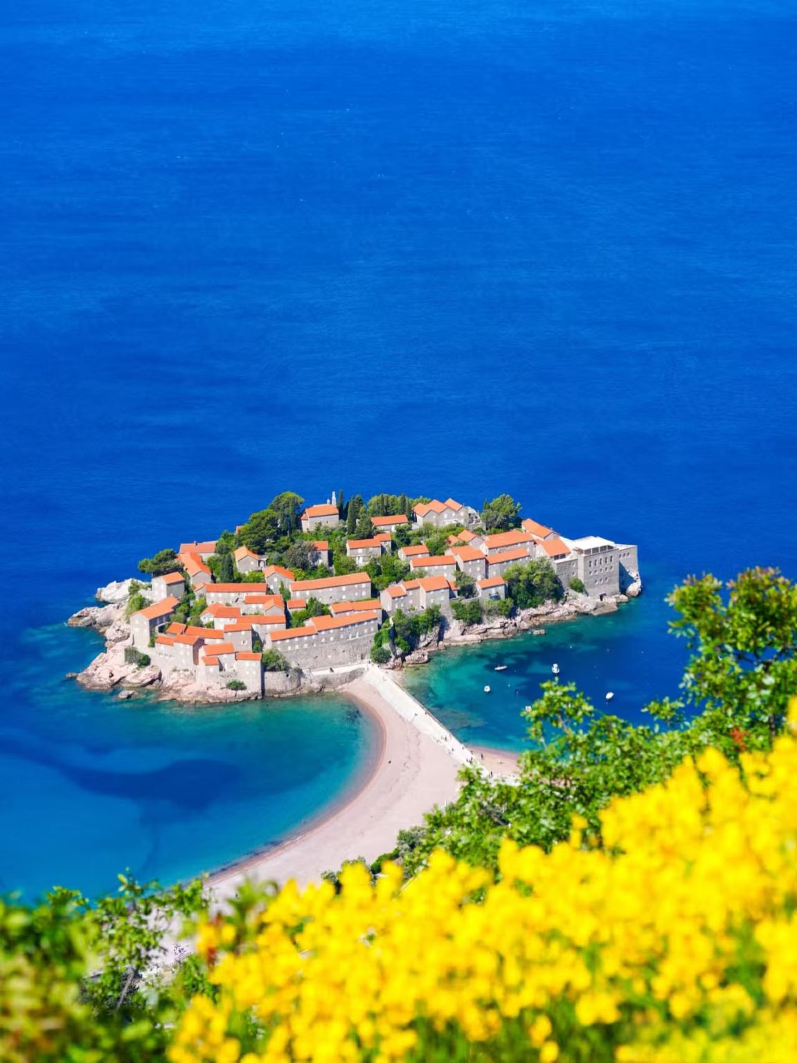 【黑山海釣包船】佈德瓦古城遊艇出海海釣【包船3小時】