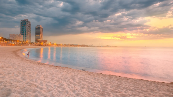 Barcelona private charter 1-day tour: Columbus Monument + Barcelona Beach + Spotify Camp Nou