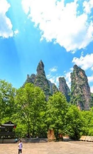 [VIP Access] Zhangjiajie National Forest Park Avatar Day Trip: Fast Track, Less Queuing