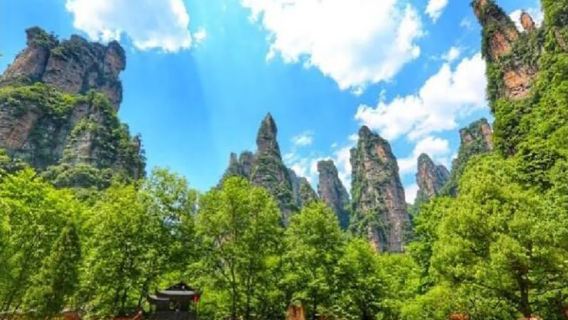 [Corsia VIP] Tour di un giorno al Parco Nazionale Forestale di Zhangjiajie Avatar - Accesso rapido con meno attese