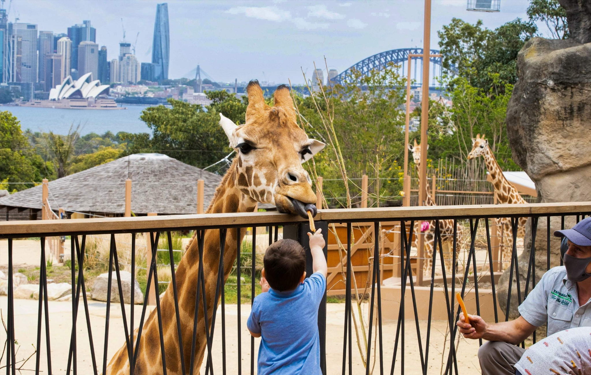 Sydney Taronga Zoo 1-Day Tour [Includes Round-Trip Boat Ticket + Zoo Admission Ticket]