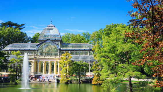 Privattransfer zum Palacio Real de Madrid, Museo Nacional Centro de Arte Reina Sofía und Retiro-Park in Spanien