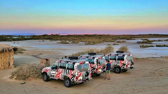 4x4 차량과 낙타 타기, 저녁 식사가 포함된 나크브 국립공원 투어