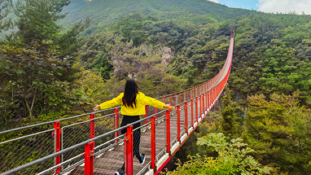 Тур по демилитаризованной зоне с опциональной канатной дорогой и подвесным мостом