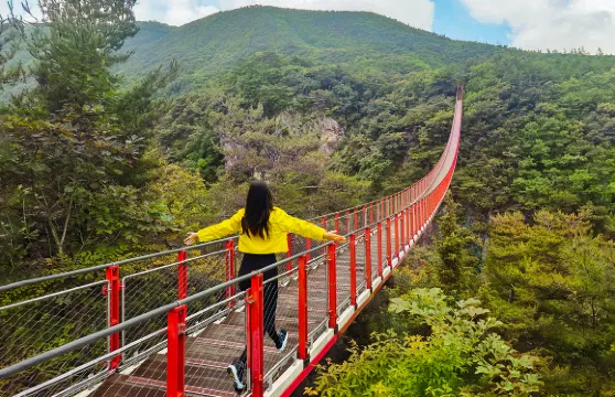 DMZ非武裝地帶導賞團連可選纜車及吊橋