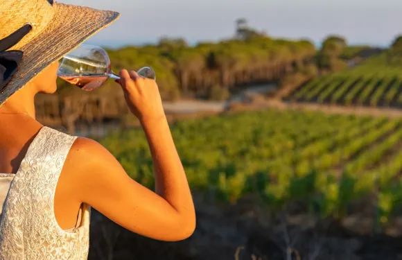 品酒及參觀作家酒窖