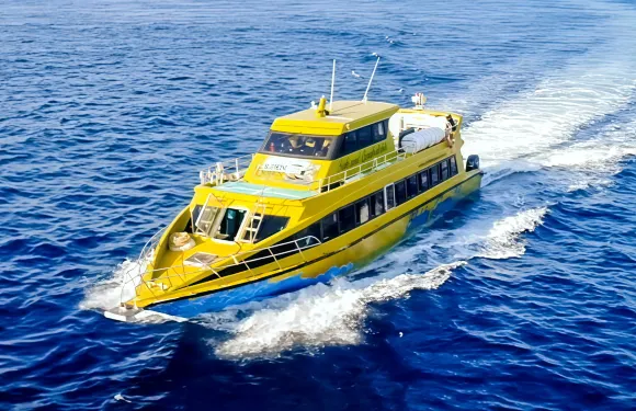 快艇船票 峇里島（薩努爾）-佩妮達島【單程或來回】