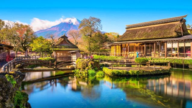 [Cherry Blossom Season] Tokyo Departure: Mount Fuji Kawaguchiko & Yamanakako Day Tour [Max 9-Person Group | Popular Photo Spots | English-Speaking Driver]