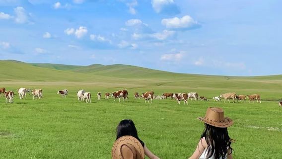 Self-drive to Hulunbuir for horseback riding + visiting herdsmen + grassland sightseeing train + grass sliding + bonfire