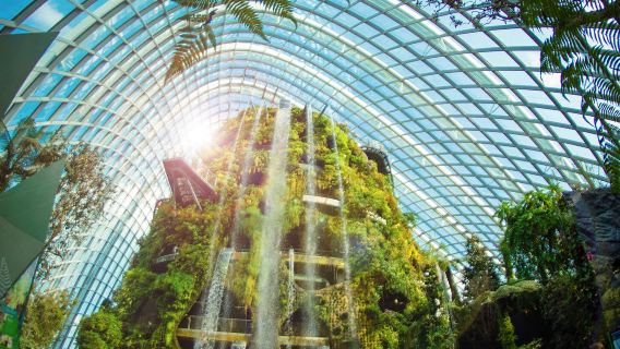 Gardens by the bay flower dome/cloud forest Jurassic world/floral fantasy/supertree observatory - multiple activities/packages optional
