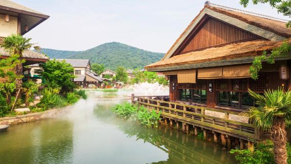 [Lähtö Hangzhousta] Lingshanin jättiläisbuddha ja Nianhua - päiväretki: Yksityinen auto + lippu