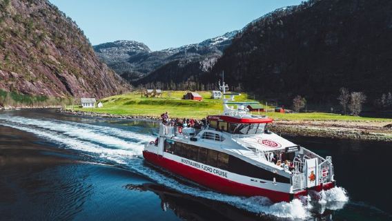 Mostraumen Fjord Cruise – Operated & Guided by Locals