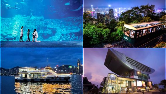 Hong Kong luxury nightlife: Aquarium Chinese restaurant tasting dinner, sunset Star Ferry's harbour tour cruise and peak night view