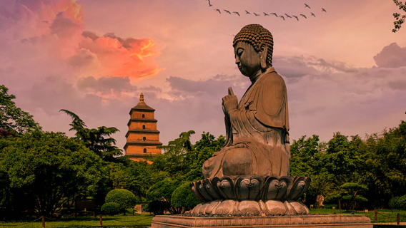 Lawatan Setengah Hari ke Tembok Kota Xi'an + Drum Tower Square + Kuil Daci'en + Dataran Utara Pagoda Angsa Liar + Jalan Muslim