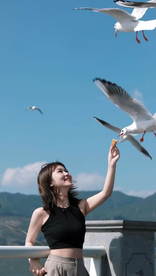 【純粋観光】西山風景区＋滇池＋撈魚河＋海晏村の夕日 ワンデーツアー 市内送迎付き
