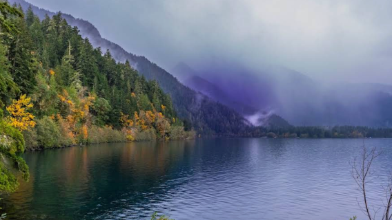 Amerika Syarikat Seattle - Taman Negara Olympic - Hurricane Ridge Boleh Disesuaikan [Sewaan Peribadi - Kebebasan Menurut Hati]