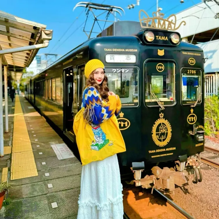 Japan Osaka + Wakayama Castle + Kishi Station + Senjojiki Rock