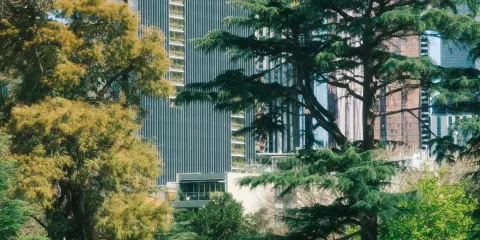 墨爾本:大洋路步道+十二門徒岩舒適包車一日遊