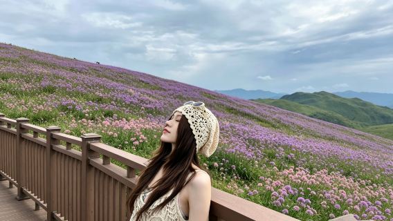 [Private chartered tour] Ahxilixi Landscape + Jiucaiping 1-day tour ~ highland secret realm of flowers above the clouds admission ticket not included