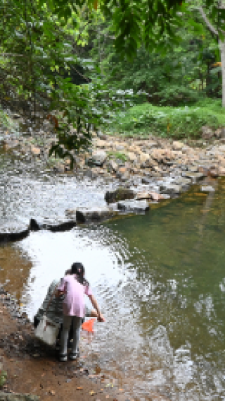 廣州石門公園溯溪半日營！探秘土生魚類+自製水生生態瓶！