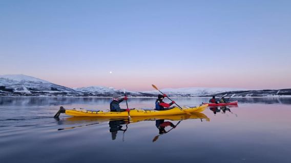 Tromsø: Easy Winter Kayaking Tour with Seal Watching