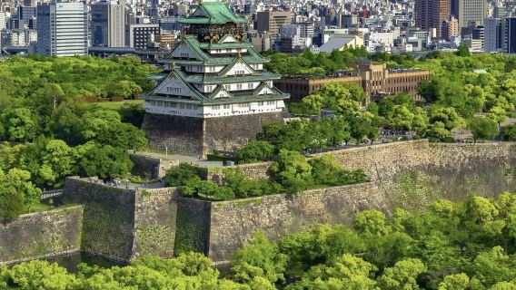 Sen no Rikyū et l'esthétique japonaise : visite pédestre de la culture du thé au château d'Osaka et au Musée d'art Fujita