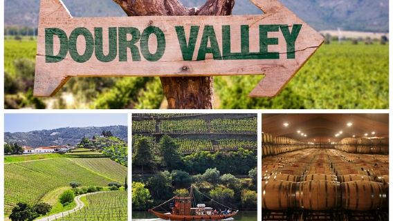 Douro Valley Tour: Wine Tasting, Cruise and Lunch from Porto