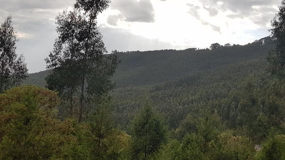 Addis AbabaTours