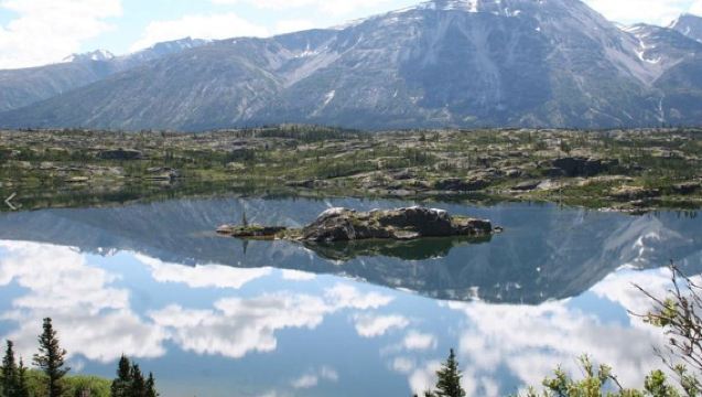 Skagway Shore Excursion: Yukon Discovery Tour