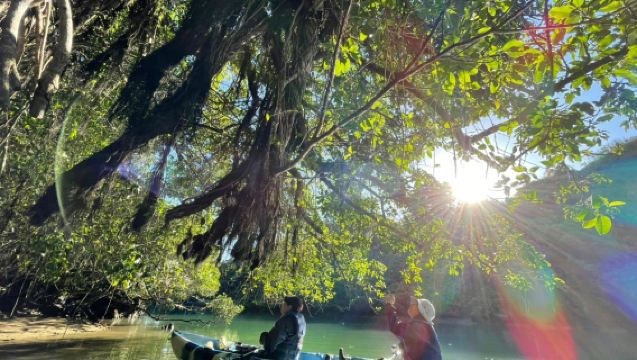 Kayak à Okinawa Umiashibi - 2 heures [Kayak en mangrove - À partir de 2 ans]
