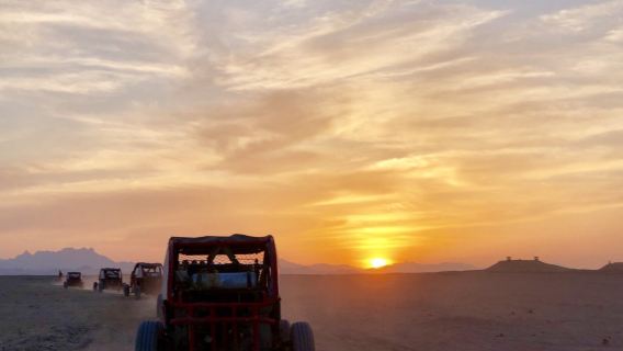 이집트 홍해 원데이 투어 2가지 액티비티 (스쿠버 다이빙 + 사막 사파리) - 산호초 스노클링 & 사막 모래사파리