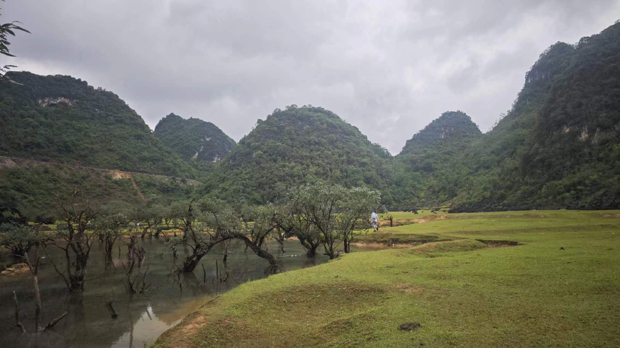 廣西德保隴卡賴+矮馬王國+吉星巖一日遊【全天包車·隨走隨停】
