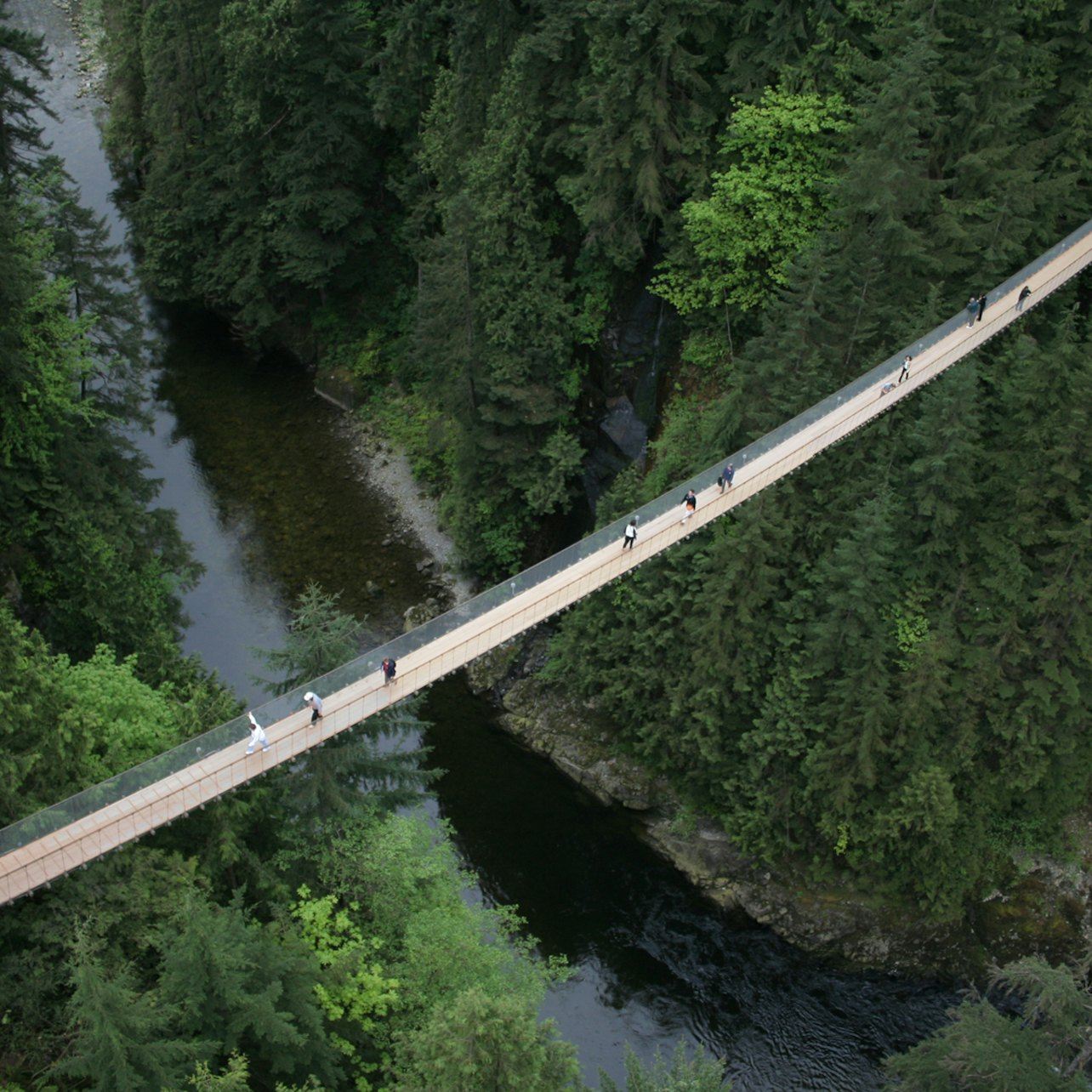 Vancouver: Parque del Puente Colgante de Capilano y recorrido por la ciudad