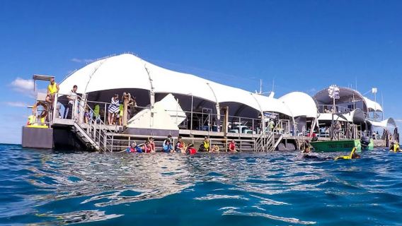 Great Barrier Reef Adventure from Cairns