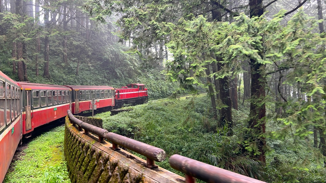 阿里山國家森林遊樂區一日遊【台中/嘉義/高雄｜私人包車導覽】