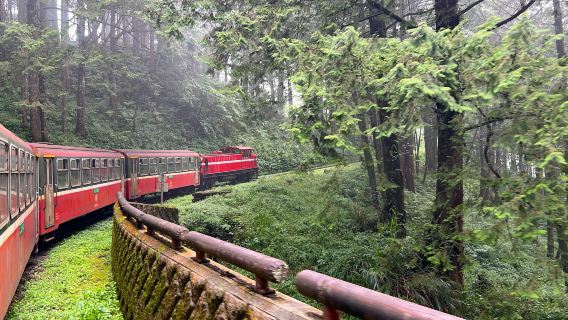 阿里山国家森林遊楽区日帰りツアー【台中・嘉義・高雄|チャーター車ガイド】