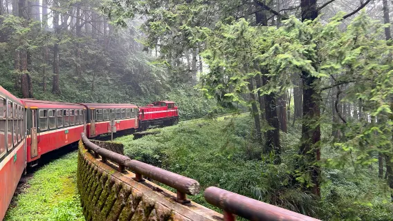 Tagesausflug zum Erholungsgebiet Alishan National Forest [Taichung/Chiayi/Kaohsiung] | Privattransfer Charter