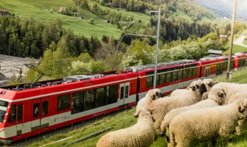 戈爾內格拉特登山鐵路:觀光列車