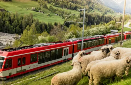 戈爾內格拉特登山鐵路:觀光列車