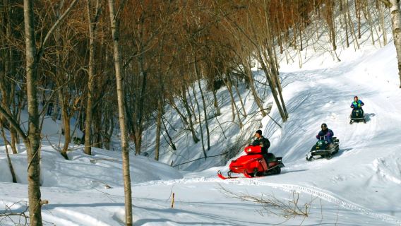 Excursión de medio día al parque de motos de nieve en Sapporo, Hokkaido: incluye 60 minutos de experiencia en moto de nieve