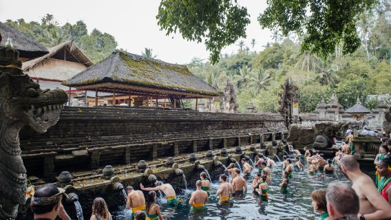 Ubud Nature and Cultural Tour: Monkey Forest, Tegalalang Rice Terraces and More – Full Day