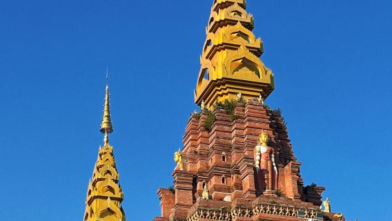 ทัวร์วันเดียว/ทัวร์หลายวัน หุบเขาช้างป่าสิบสองปันนา + วัดเจดีย์ทอง + ตลาดน้ำสิบสองปันนาเกาจวง พร้อมบริการภาษาอังกฤษและภาษาจีน